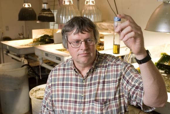 Pat Kangas research on algae as biofuel