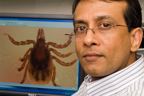 Utpal Pal - Lyme disease research with deer ticks at Vet Med
