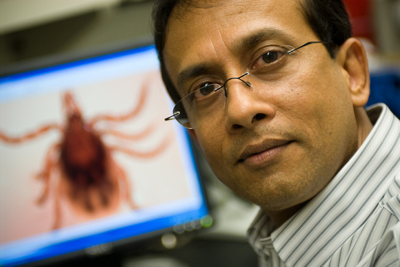 Utpal Pal - Lyme disease research with deer ticks at Vet Med