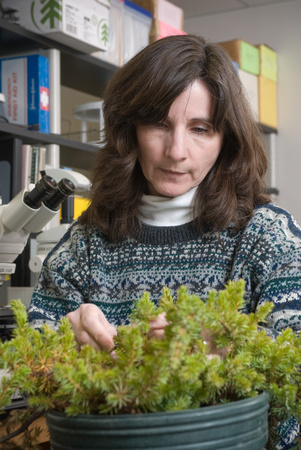 Karen Rane - plant diagnostics lab