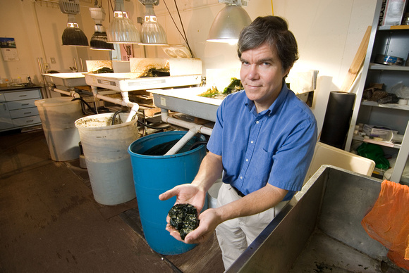 Pat Kangas research on algae as biofuel