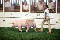 State Fair 2013