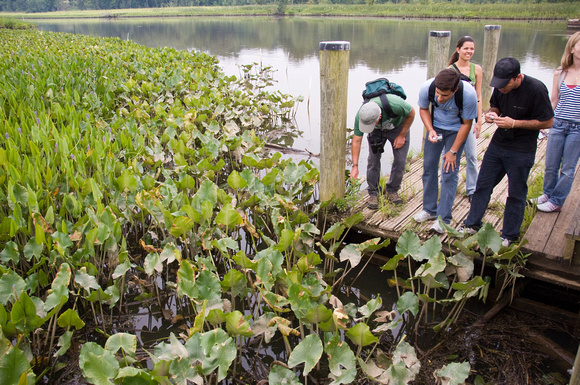 Students from Brazil visit Jug Bay Wildlife Sanctuary with Dr. Lowell Adams ENST