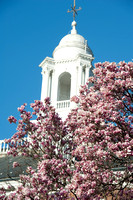 Spring on campus