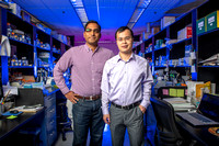 Crisper - Bhanu P. Telugu and Yiping Qi in lab