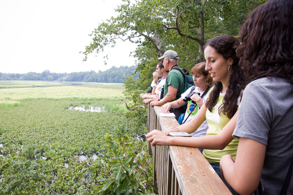 Students from Brazil visit Jug Bay Wildlife Sanctuary with Dr. Lowell Adams ENST