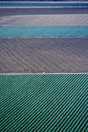 Salinas Valley fields  Georgic Odyssey project - Photograph by Edwin Remsberg