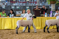 State Fair 2017