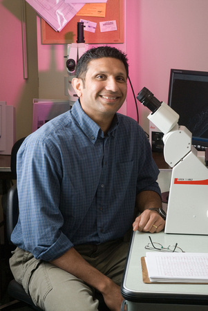 Iqbal Hamza, Ph.D.Assistant Professor ANSC  Bloodless worm researchUniversity of Maryland, College Park