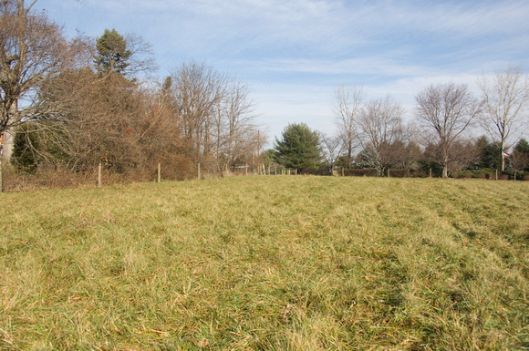 Rotational grazing of stockpiled non toxic tall fescue in December at Maple Grove farm in Fallston MD