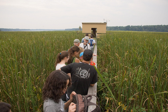 Students from Brazil visit Jug Bay Wildlife Sanctuary with Dr. Lowell Adams ENST