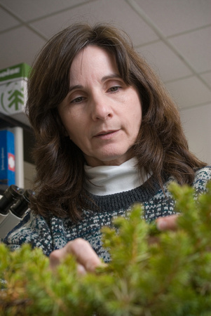 Karen Rane - plant diagnostics lab